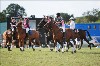 UKPA  NC Sat_1471